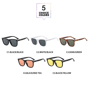 Classic square sunglasses collection in 5 color options with metal stud details