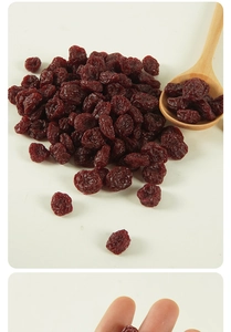 Detailed macro shot showing realistic texture of artificial dried cranberry food models