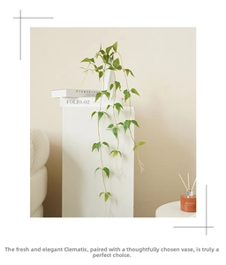 Artificial clematis vine in a white vase showing realistic green leaves and hanging texture