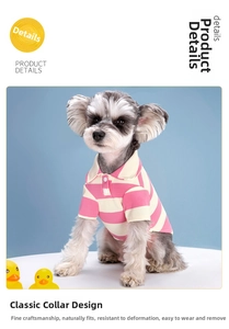 Close-up of pink striped pet polo shirt with classic white collar on a Schnauzer