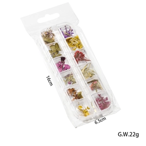Japanese style 12-slot box of colorful dried flowers for nail art decoration 16x6.5cm