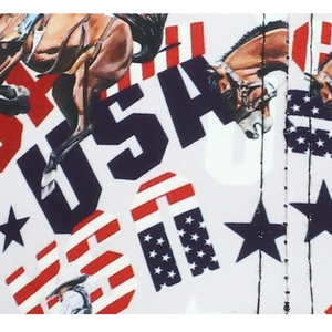 Close-up of USA print with running horse and stars on the fabric of a baseball cap