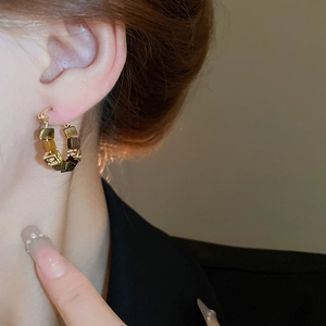 Detail of square tiger eye stone earrings with gold plating on a female model