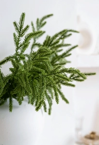 Detail of realistic artificial evergreen pine branches in a ceramic vase for home decor