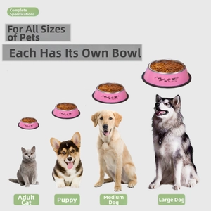 Size comparison of four pink stainless steel pet bowls for cats and large dogs