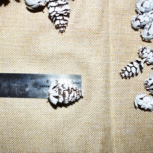 Detailed measurement of 3.5cm white-tipped natural pine cone for Christmas DIY decor