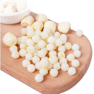 Miniature realistic PVC lotus seeds for dollhouse DIY crafts and faux food dessert decor