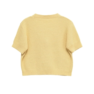 Back view of a light yellow waffle knit short sleeve sweater with ribbed hem and crew neck