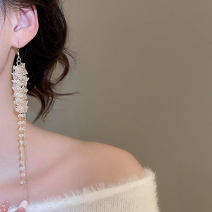 Close-up of elegant crystal beaded fringe earrings on model with golden tassels