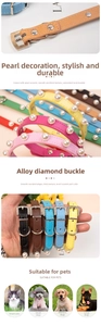 Détail du collier de perles réglable pour animaux avec boucle en alliage de strass étincelant