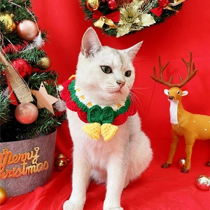 Handmade crochet Christmas collar with bells on a white cat, festive red and green yarn