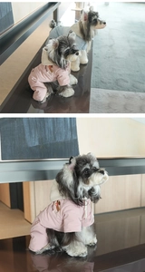 Detail view of thickened pet hoodies in pink and blue with puppies embroidery