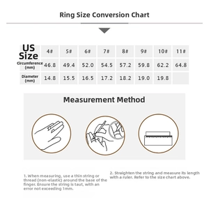 Detailed size chart for titanium heart ring showing US sizes, circumference, and diameter