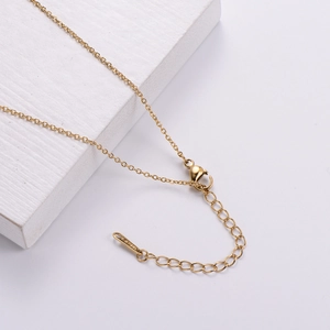Minimalist gold stainless steel chain necklace with lobster clasp and adjustable tail