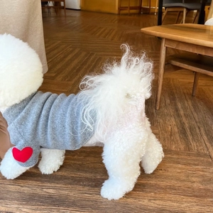 Close-up of light grey pet sweater featuring red heart embroidery on the side sleeve