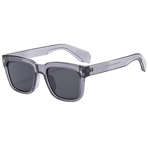Retro square frame sunglasses in translucent grey with SN3831 model text on inner temple