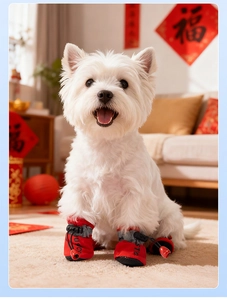 Detail of red anti-slip dog shoes with adjustable drawstrings on a West Highland Terrier