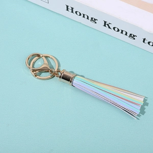 Detailed view of a rainbow tassel keychain with gold metal clasp on a green background