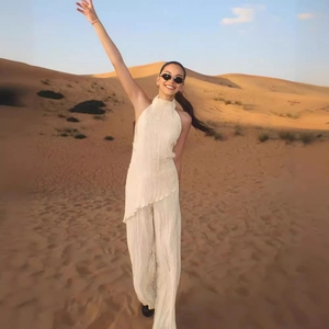 Women Pleated Halter Neck Backless Top And Wide Leg Pants Solid Color Vacation Summer Casual Elegant Outfit