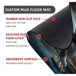 Detailed cross-section showing diatom mud mat structure with absorbent layer and non-slip sole