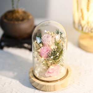 Close-up of preserved pink rose in a lighted glass dome with wooden base for gifts