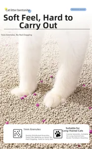 Close-up of 1mm bentonite cat litter granules with purple deodorizing particles for long hair cats