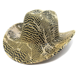 Close-up of snake skin pattern texture on a wide brim western cowboy hat