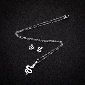 Silver stainless steel jewelry set featuring S-shape snake pendant necklace and earrings