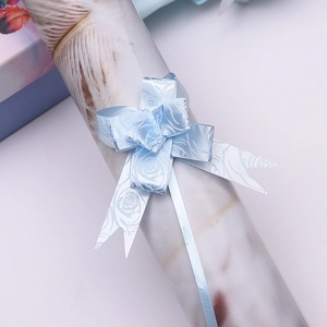 Detail of light blue ribbon pull bow with rose pattern on gift wrapping