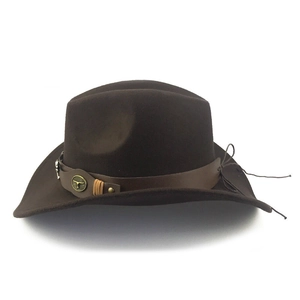 Detail of dark brown cowboy hat with leather band and gold bull head metal emblem