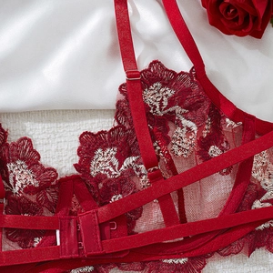 Detail of red floral lace embroidery on sheer mesh bra with adjustable straps