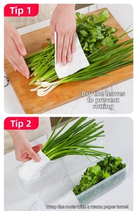 Macro shot of long clear plastic storage box for preserving fresh scallions and herbs