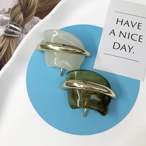 Vintage Resin And Zinc Alloy Hair Clip Geometric Arched Ponytail Holder For Women Fashionable Light Luxury Style