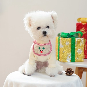 Detail of Christmas pet knit sweater and reindeer embroidery scarf on festive background