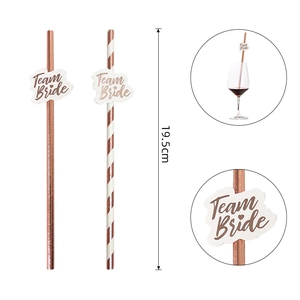 Team Bride Party Trinkhalme in Roségold mit Deko-Karten und 19,5 cm Maßangaben