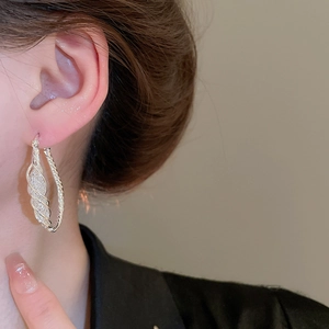 Detailed view of silver hoop earrings with textured twist design and sparkling inner details