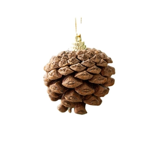 Natural brown pine cone Christmas ornament with a gold hanging string on white background