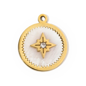 Macro view of gold-plated star pendant with pearl white inlay and zircon center