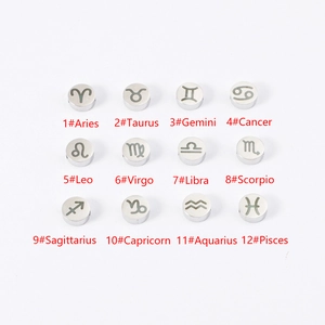 Set of 12 stainless steel zodiac cylinder beads for DIY jewelry making with laser engraving