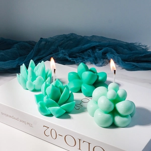 Detailed view of realistic succulent shaped aromatherapy candles with green tones on book decor