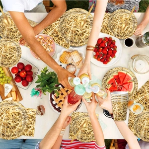 Kinder-Picknick-Einweggeschirr-Set mit realistischem Heumuster auf Tellern und Bechern