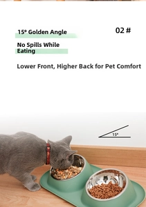 Cat dual bowl with 15-degree tilt and stainless steel bowls on green non-slip base