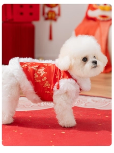 Detail of red Tang suit dog vest with plum blossom embroidery and white faux fur trim