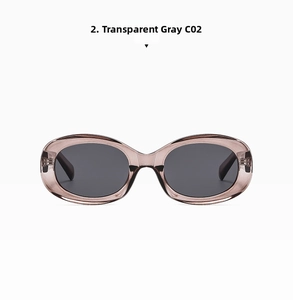 Detail view of transparent grey oval sunglasses with dark lenses and model C02 marking