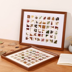 Walnut finish solid wood frame with 35-grid compartments for dried leaf specimens