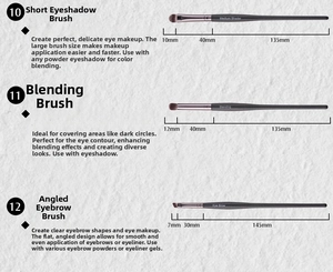 Size chart showing exact dimensions for eye shadow, blending, and eyebrow brushes