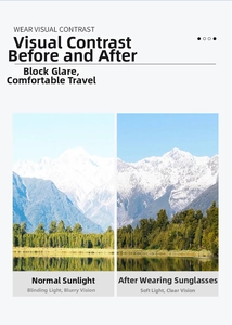 Polarized lens visual comparison showing glare reduction and clarity in outdoor scenery
