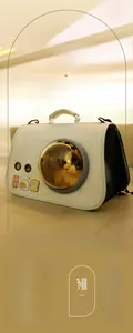 Detail of breathable mesh and cartoon prints on foldable space capsule cat backpack