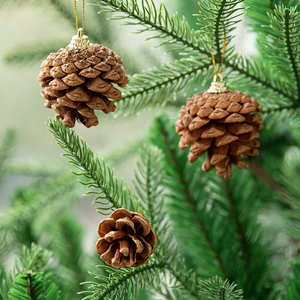 Natural pine cone Christmas ornament with gold cap and string on pine branch