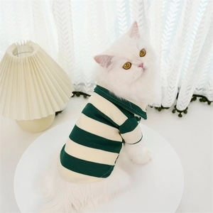 Close-up of a white cat wearing a green and white striped polo shirt in a cozy setting
